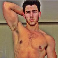 Nick Jonas torse nu en mode Musclor : des bras et une tablette de chocolat