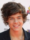 Harry Styles élu "meilleur sourire" et "plus bel homme" aux Teen Choice Awards 2013