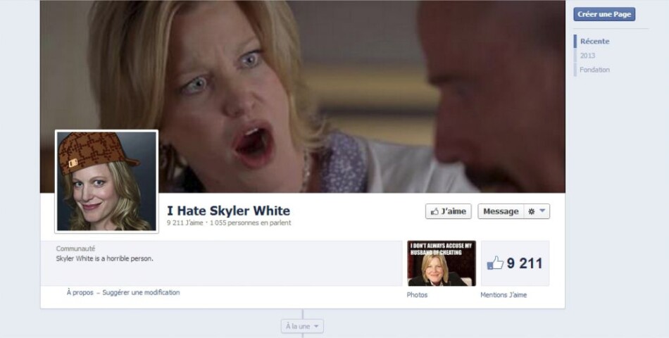 Breaking Bad : l&#039;un des groupes contre Skyler White sur Facebook