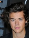 One Direction : Harry Styles insulté par Taylor Swift pendant les MTV VMA 2013