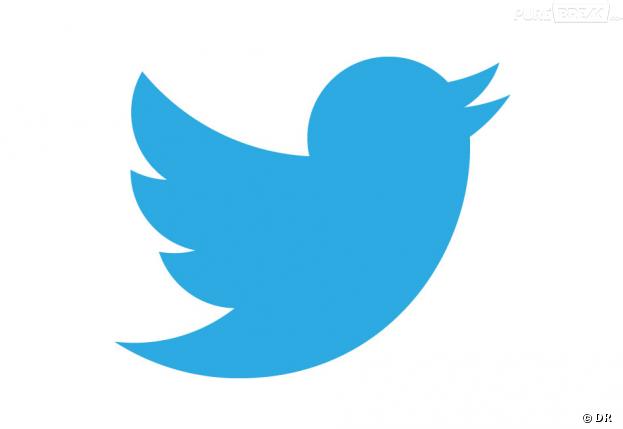 Twitter : une entrée en bourse pour 2014 ?