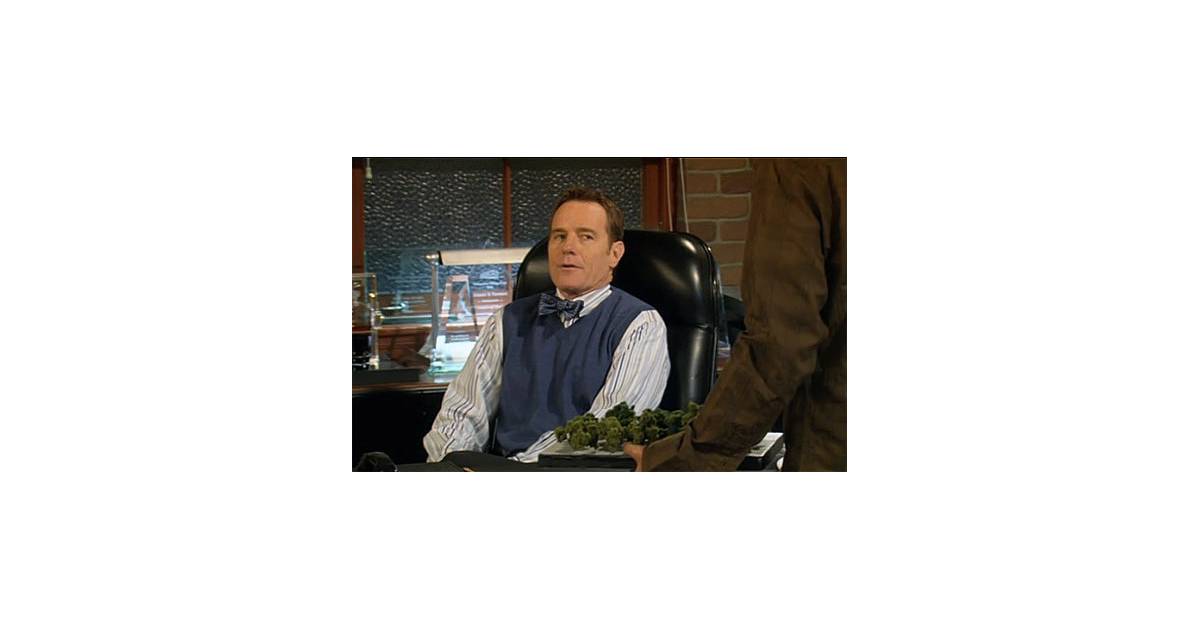 Bryan Cranston How I Met Your Mother