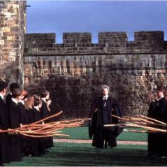 Harry Potter : un spin-off consacré au Quidditch ?