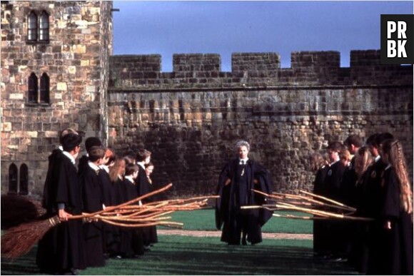 Harry Potter : le Quidditch à l'honneur dans un spin-off ?