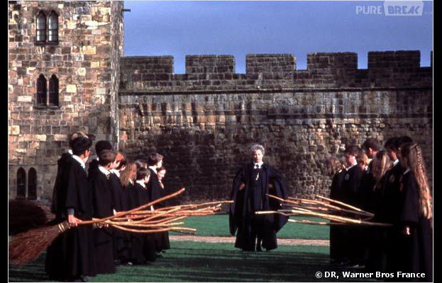 Harry Potter : le Quidditch à l'honneur dans un spin-off ?