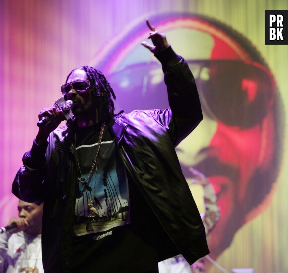 Snoop Dogg devient Snoop Lion après sa conversion au rastafarisme