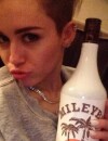 Miley Cyrus bientôt star du porno ?