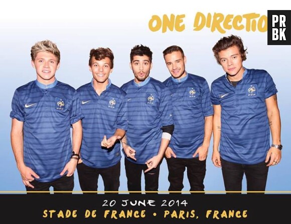 One Direction au Stade de France le 20 juin 2014