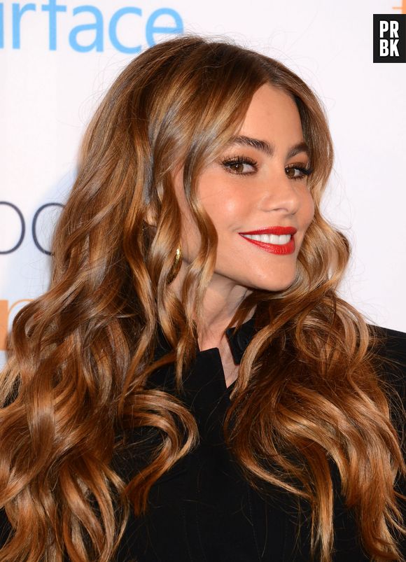 Modern Family : Sofia Vergara a des fans flippants