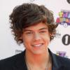 Harry Styles élu "meilleur sourire" et "plus bel homme" aux Teen Choice Awards 2013