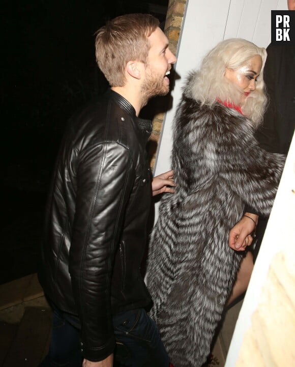 Rita Ora et son petit-ami Calvin Harris, le 26 novembre 2013 à Londres