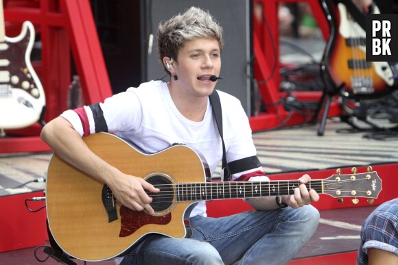 Niall Horan en couple avec Barabar Palvin ?