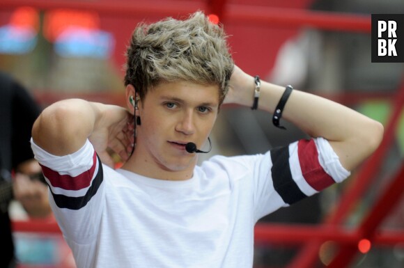 Niall Horan en couple avec Barabar Palvin ?