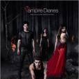 The Vampire Diaries saison 5 : quel avenir pour le Delena ?