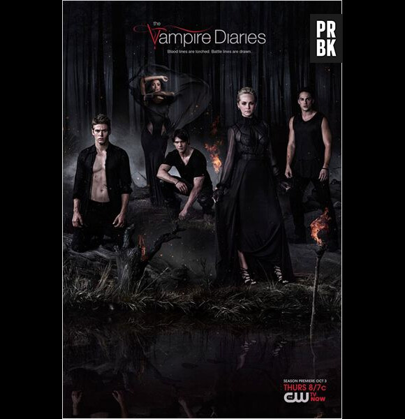 The Vampire Diaries saison 5 : quel avenir pour le Delena ?