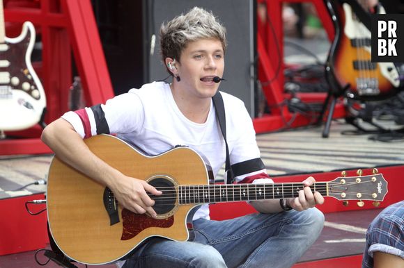 Niall Horan : bientôt des billets à son effigie en Irlande