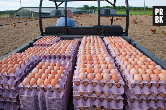 Une omelette géante improvisée à Toulouse