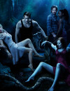 True Blood saison 7 : un triangle amoureux en prévision
