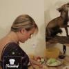 Top Chef 2014 : Frenchef et Tiffany Depardieu sortent le deuxième épisode de "Cook It If You Can"