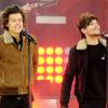 One Direction : Louis Tomlinson et Harry Styles en concert à NY, le 26 novembre 2013