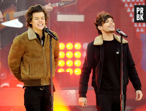 One Direction : Louis Tomlinson et Harry Styles en concert à NY, le 26 novembre 2013