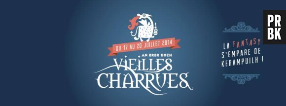 Festival Vieilles Charrues 2014 : la programmation s'étoffe avec Indochine, Vanessa Paradis, Julien Doré, Skip the Use, les Casseurs Flowters...
