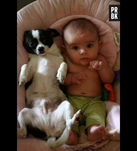 Bébé avec animal 012