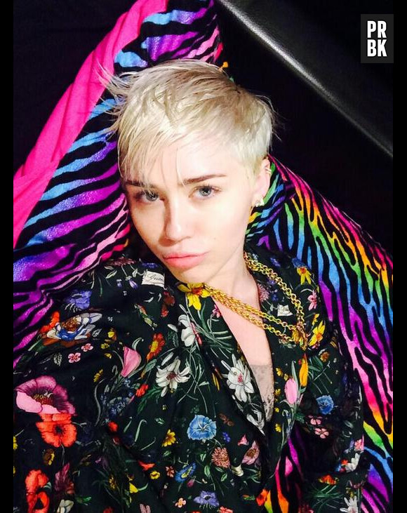 Miley Cyrus attristée par la mort de chien Floyd