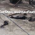  The Walking Dead saison 5 : un Terminus myst&eacute;rieux 