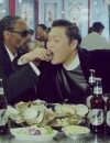  PSY : Hangover, le clip avec Snoop Dogg &agrave; consommer sans mod&eacute;ration 