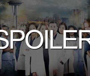 Grey's Anatomy saison 10 : une ann&eacute;e charg&eacute;e
