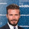 David Beckham : numéro 2 au classement des papas qui font fantasmer les Françaises