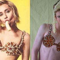 Taylor Swift, Miley Cyrus.. WaveRider, l&#039;ado qui parodie les stars sur Instagram