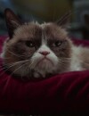 Grumpy Cat's Worst Christmas Ever, le trailer du film
