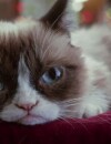 Le pire Noël de Grumpy Cat, la bande-annonce disponible