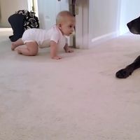 Ce bébé reçoit une récompense inattendue pour ses premiers pas