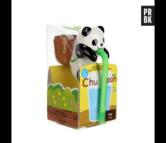 Chuppon panda/basilic, à 14 euros chez Colette