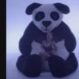  Emily Ratajkowski : shooting sexy avec un panda 