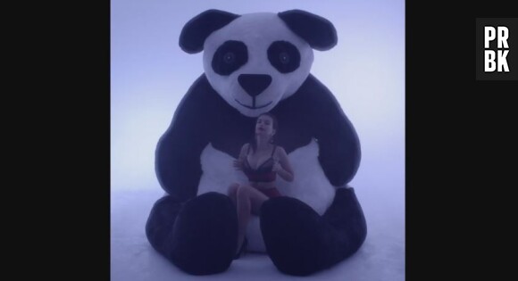 Emily Ratajkowski : shooting sexy avec un panda