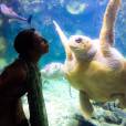  Eve Angeli flirte avec une tortue pendant ses vacances 2015 aux Antilles 