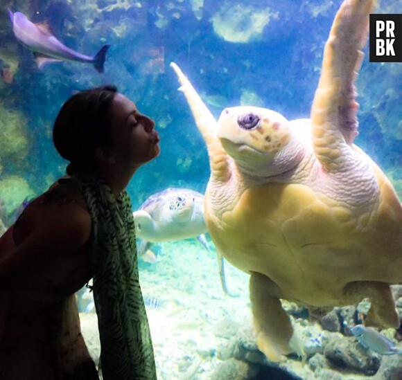 Eve Angeli flirte avec une tortue pendant ses vacances 2015 aux Antilles