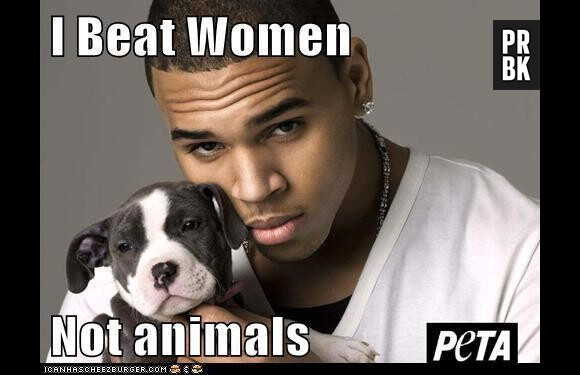 Chris Brown attaqué par la PETA : les internautes se moquent