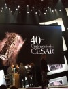 Joey Starr pendant les répétitions de la cérémonie des César 2015