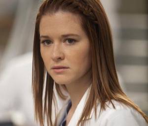 Grey's Anatomy saison 10 : Sarah Drew a inspir&eacute; April
