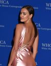 Irina Shayk hot au Dîner des correspondants de la Maison Blanche, le 25 avril 2015 à Washington