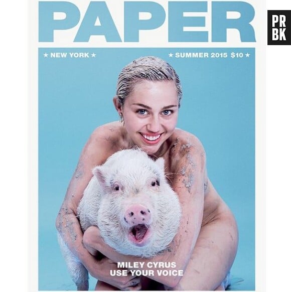 Miley Cyrus nue et avec son cochon pour le magazine Paper