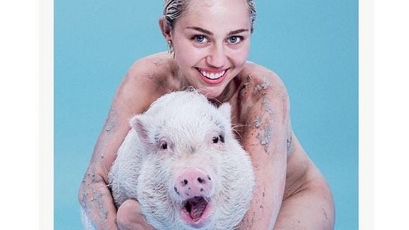 Miley Cyrus nue en Une de Paper.... avec son cochon