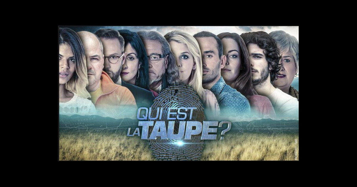 Qui est la taupe une saison 2 prévue sur M6 ? Ce qui vous attend PureBreak