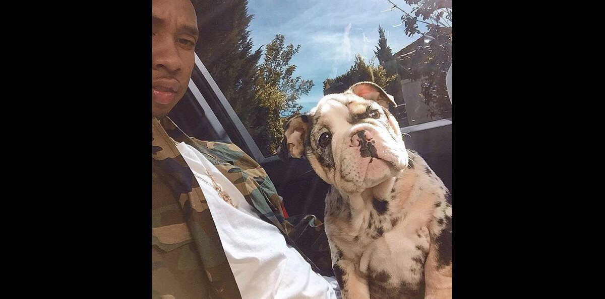 Photo : Tyga et son nouveau chien Rolly - Volum (PureBreak)