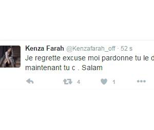 Kenza Farah : son compte Twitter piraté ?